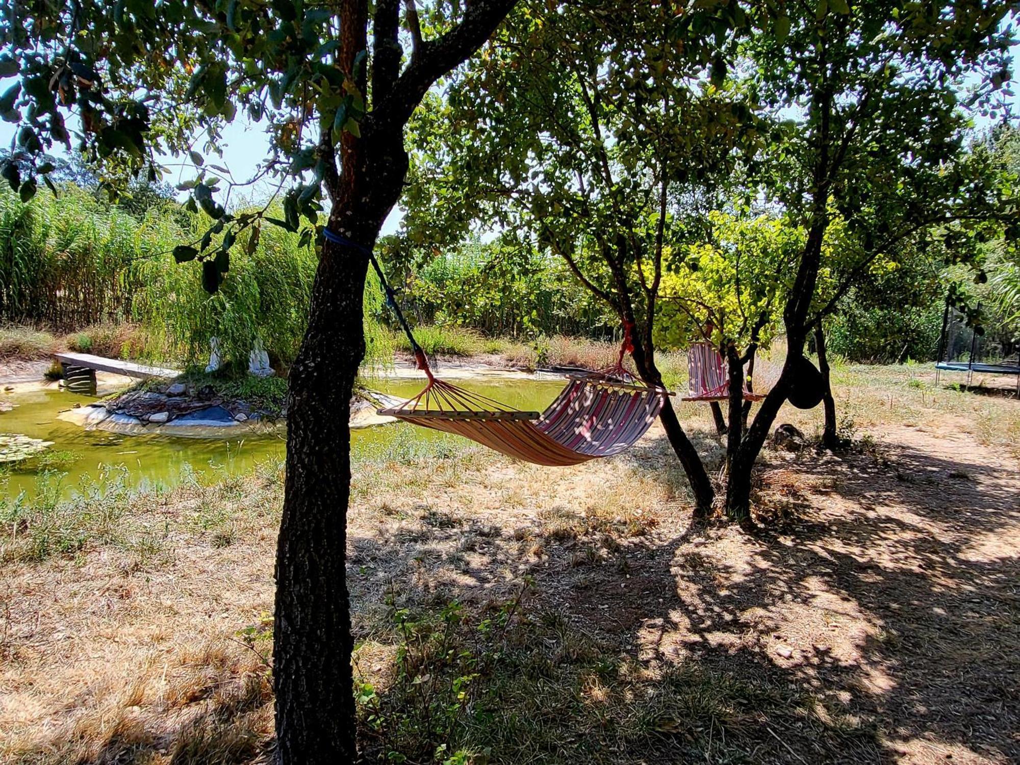 Quinta Da Choupana Hotell Tomar Exteriör bild